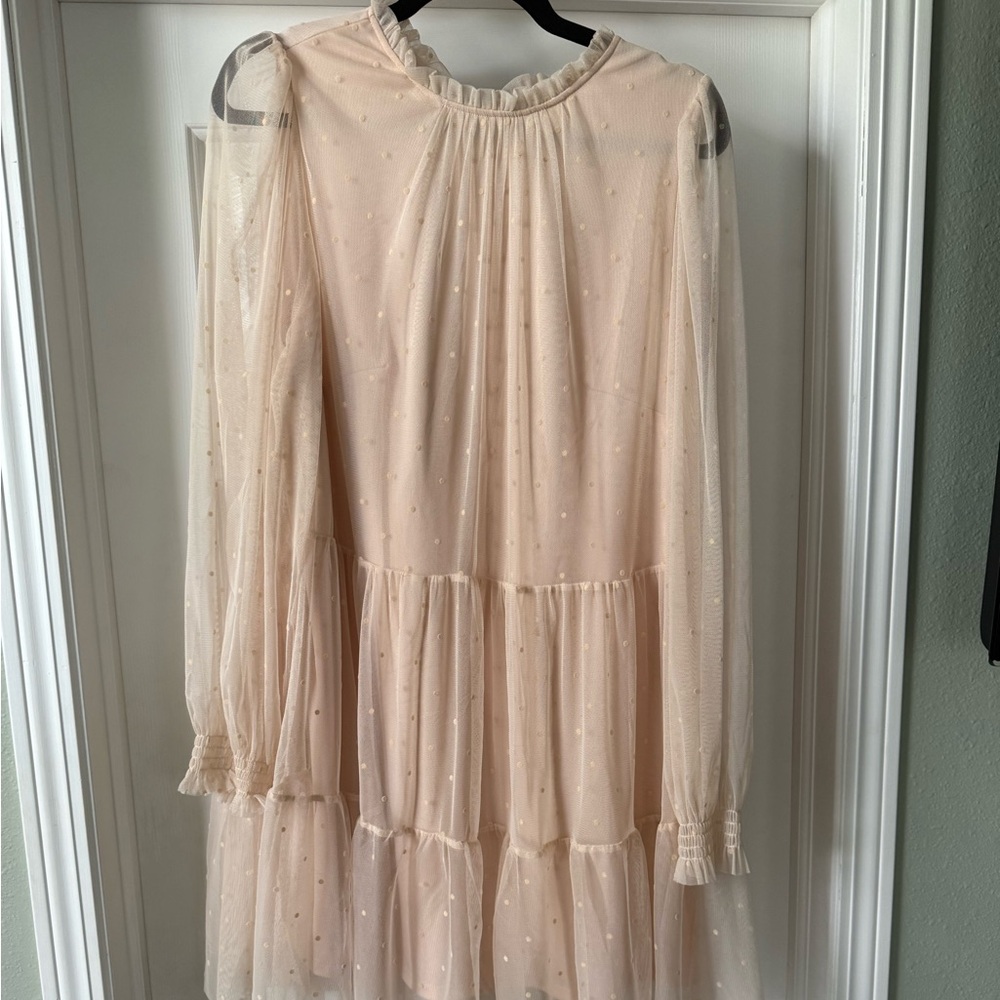 Sheer Polka Dot Dress
